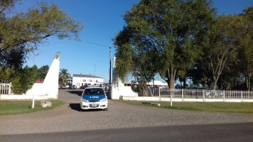 Recuperaron un animal que habían robado