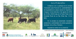 Miércoles 8 de agosto. 