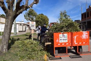 Trabajos de limpieza en Seguí