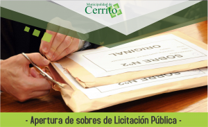 licitacion publica