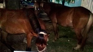 De Cerrito a Paraná.