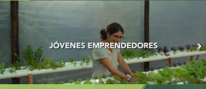 Programa Jóvenes Emprendedores.