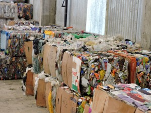 A través del programa “Cerrito más verde”.