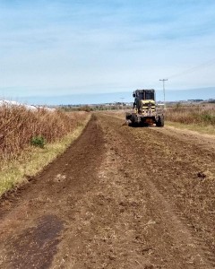 Trabajos en los caminos de la producción en Seguí