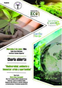 Actividad por el Día del Ambiente.