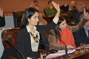 Viola pretende lograr una banca en el Congreso