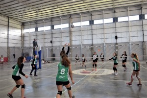 Voley en Seguí