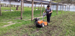 Capacitación para las mujeres de la Cooperativa “28 de Abril”.
