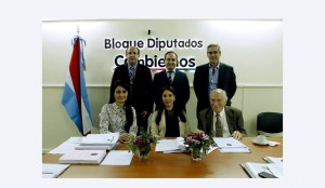 Diputados de Cambiemos.