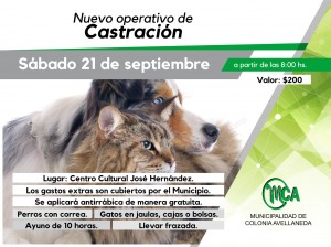 Castraciones de mascotas en Colonia Avellaneda