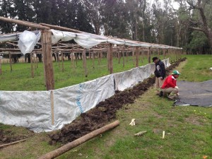 Continúa la construcción de Invernáculos.