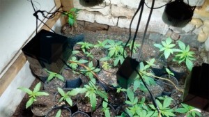 En la ruta 12, en cercanías de Cerrito.