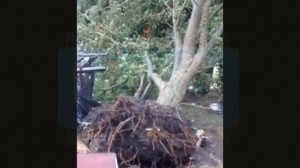 Fuerte temporal en Colonia Rivadavia