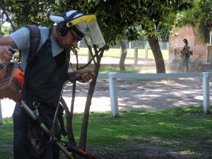 Mantenimiento y desmalezados.