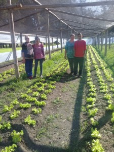 Comercialización de la producción hortícola.