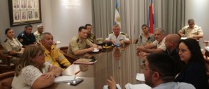 Incendio en las islas.