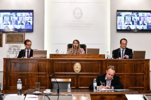 El Senado Provincial sesionó en forma virtual