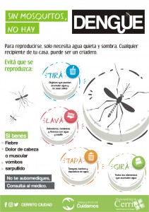 Sin mosquitos, no hay dengue.