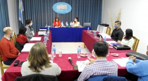 Trabajo de comisión del HCD de Cerrito