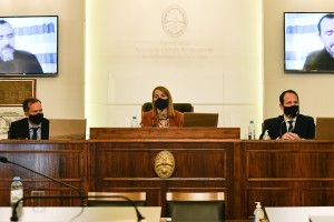 "Si algo ha quedado demostrado en este tiempo, es la importancia de un Estado presente", afirmó la vicegobernadora.