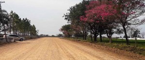 Continúa la obra Bovril-El Solar