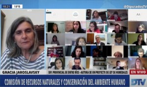 Jaroslavsky expuso en el Congreso