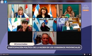 Stratta en un encuentro virtual de vicegobernadoras del país