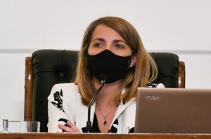 Stratta destacó la sanción en Diputados