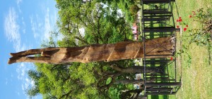 Escultura de Plaza Las Colonias.