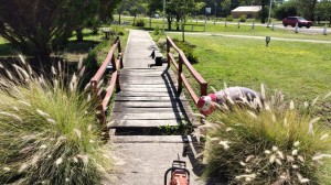 Paseo de los Artesanos.