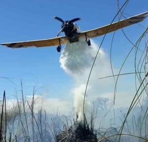 Foco de incendio en el Parque Nacional Pre Delta.