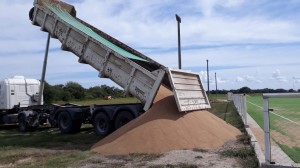 Se otorgó la arena especial para mejorar la cancha.