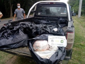 Decomisaron 380 kilos pescado.