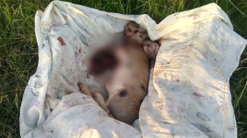 Departamento Paraná.