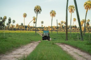 Los Palmares fueron muy visitados