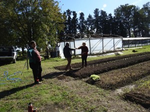 Proyecto "Cerrito Mas Verde"