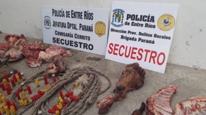 Secuestraron ganado en el operativo