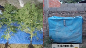 En Colonia Avellaneda.