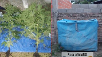 En Colonia Avellaneda.