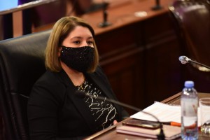 Ramos, autora del proyecto