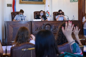 El Concejo Deliberante Estudiantil aprobó 11 anteproyectos de ordenanza.