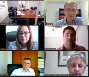 Comisión de Recursos Naturales y Ambiente.