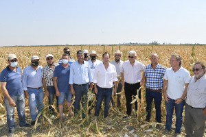 Emergencia agropecuaria en Entre Ríos.