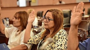 diputados-mariana-farfanjpg