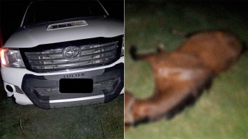 Ocurrió en Tabossi.