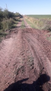 Caminos vecinales.