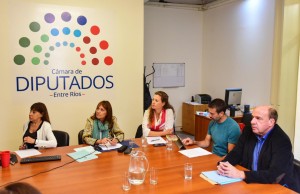 Proyectos tratados en Diputados