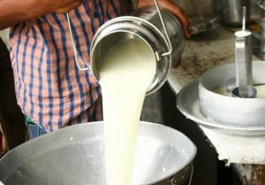  El tambero pierde el 1,3% por litro de leche producido