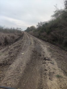 Los trabajos se realizan en forma conjunta