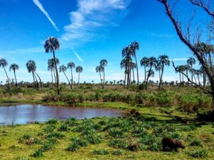 Buen comienzo para las vacaciones de invierno en Entre Ríos